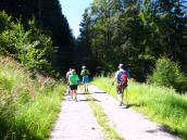  Wanderroute auf dem Forstweg Eibenstckl 