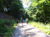  Wanderroute auf dem Forstweg Eibenstckl 