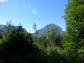  Fernblick zum Traunstein 