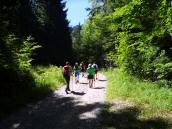  Blick auf die Wanderstrecke zum Laudachsee 