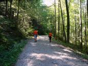  Wanderroute auf dem Forstweg Eibenstckl 