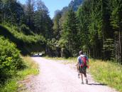  Blick auf die Wanderstrecke zum Laudachsee 