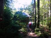  Wanderweg bei der Htte der Bergrettung Gmunden 