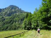  Blick auf die Wanderstrecke beim Laudachsee mit dem Traunstein 