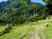  Wanderer und Badegste am Laudachsee 