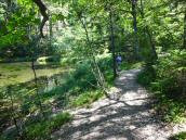  Wanderweg entlang des Laudachsees 