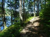  Wanderweg entlang des Laudachsees 