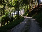  Blick auf die Wanderstrecke 