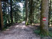  Wanderweg nach Hochbuchegg 