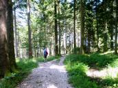  Wanderroute nach Hochbuchegg 