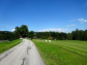  Blick auf die Wanderroute bei Wolmleiten 