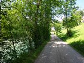 Wanderroute ber die Grubbachstrae entlang der Alm