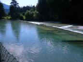  Blick zum Wehr in der Alm 