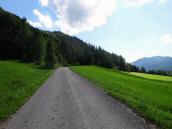  Wanderroute ber die Forststrae Burgweg 