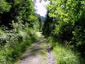  Wanderweg zur Burgruine Scharnstein 