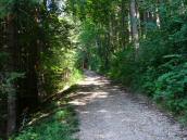  Wanderweg zur Burgruine Scharnstein 