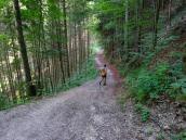  Blick auf die Wanderstrecke nach der Burgruine 