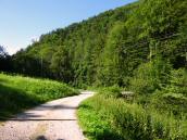  Wanderroute durch das Tieenbachtal 