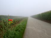  Blick auf die Wanderstrecke leider im Nebel 