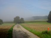  Blick auf die Wanderstrecke 