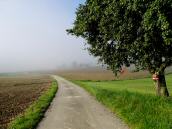  Wanderroute nach Pfaffenberg 