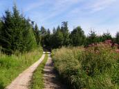  Blick auf die Wanderstrecke 