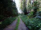  Blick auf die Wanderstrecke 