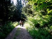  Blick auf die Wanderstrecke 