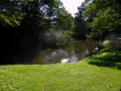  kleiner Weiher im Schlossgraben 