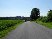 Wanderroute auf der L6046 nach Neumarkt an der Ybbs