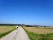  Wanderroute nach Kirchberg an der Wild 