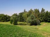  Fernblick zu einem kleinen Weiher 