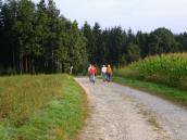  Blick auf die Wanderstrecke 