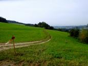  Blick auf die Wanderstrecke 