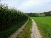  Blick auf die Wanderstrecke 