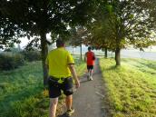  Blick auf die Wanderstrecke in Erlauf 