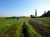  Wanderroute nach Rampersdorf 