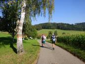  Wanderroute zum Weiler Weingarthof 