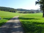 Blick auf die Wanderstrecke bei der Streusiedlung Wolfersdorf