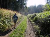  Blick auf die Wanderstrecke 