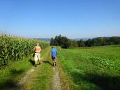  Wanderweg auf der Anhhe Hochstra 