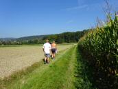  Blick auf die eben Wanderstrecke Richtung Pchlarn 