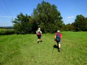  Blick auf die Wanderstrecke bei Golling an der Erlauf 