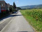 Blick auf die Wanderroute auf dem Gollingerweg nach Krummnubaum