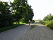  eine Radfahrergruppe auf dem Diendorferweg 