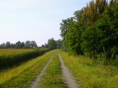  Wanderroute auf dem Hochwasserschutzdamm 