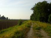  Wanderroute auf dem Hochwasserschutzdamm 