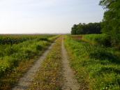  Wanderroute auf dem Hochwasserschutzdamm 