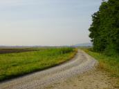  Wanderroute auf dem Hochwasserschutzdamm 