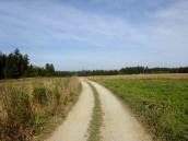  Blick auf die Wanderstrecke 